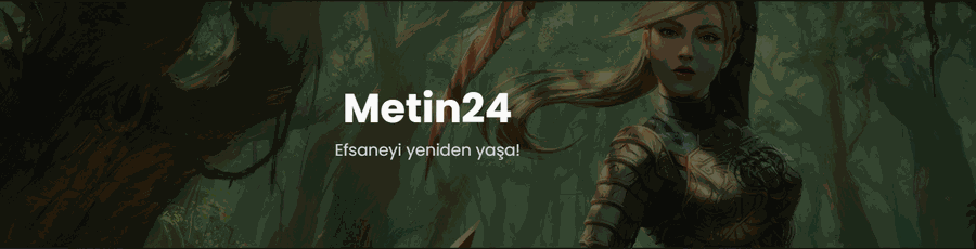 Metin24