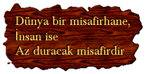 Misafirhanemt2 98 -99 emeksiz wslik